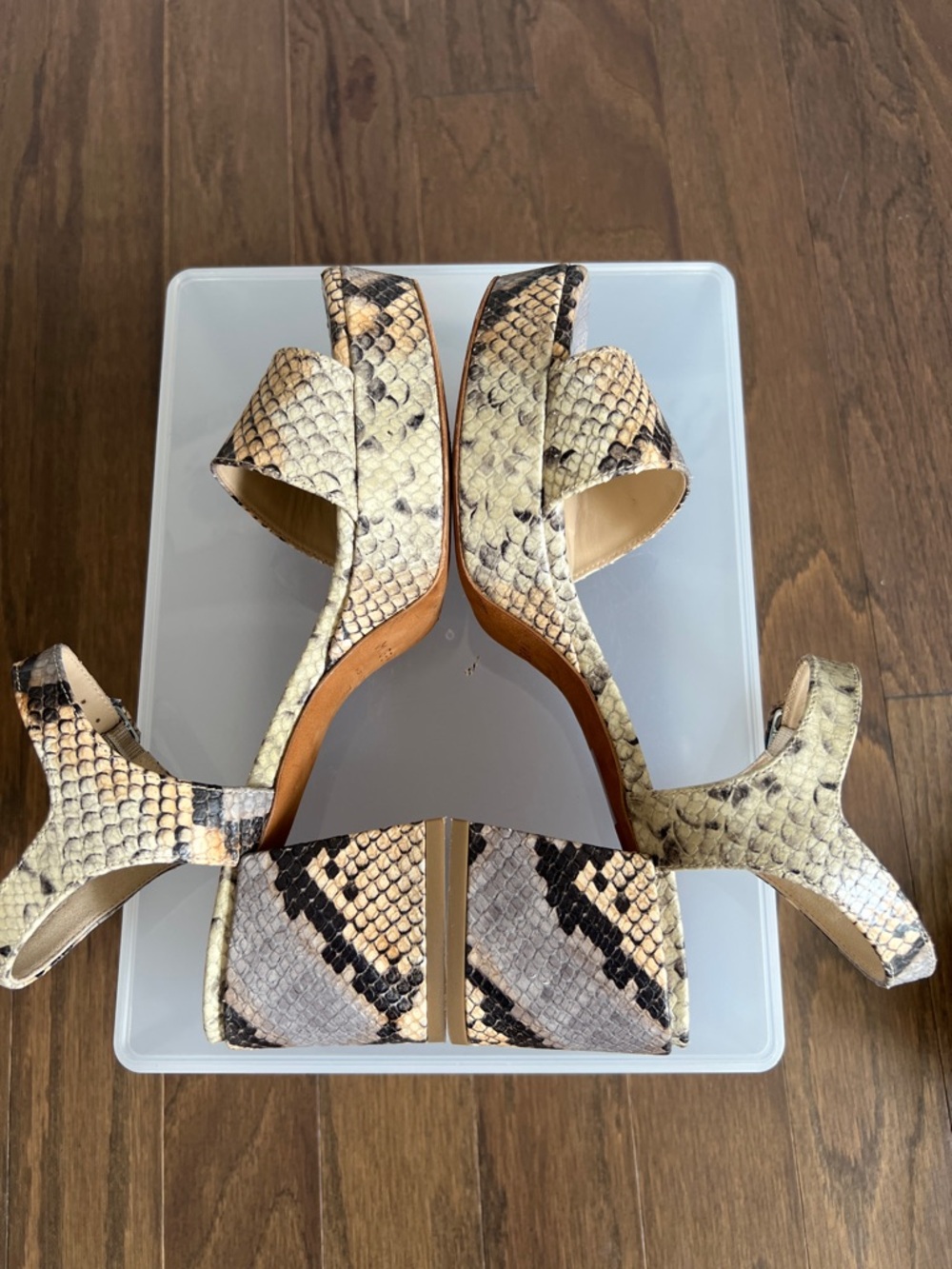 M. Gemi Lizza Nuova Platform Python Print Sandals - Picture 10 of 12
